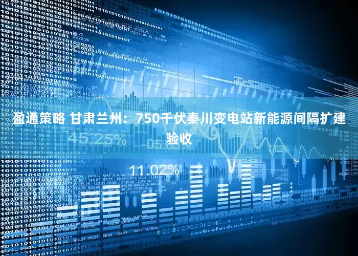 盈通策略 甘肃兰州：750千伏秦川变电站新能源间隔扩建验收