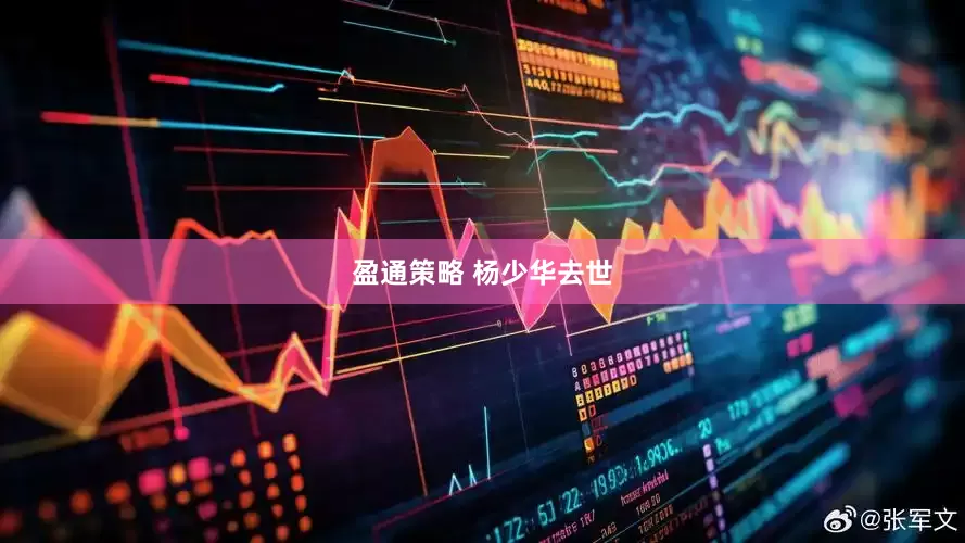盈通策略 杨少华去世