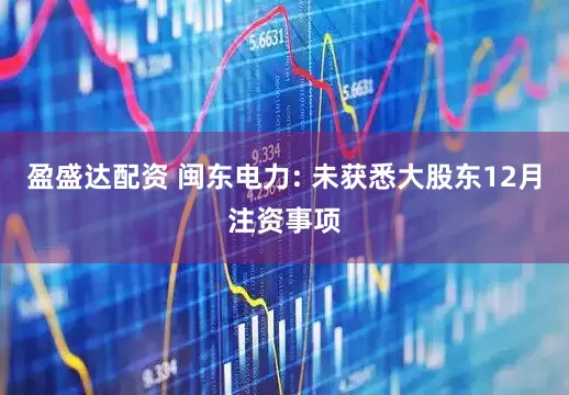 盈盛达配资 闽东电力: 未获悉大股东12月注资事项